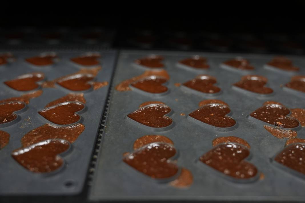 Kadınların gözde besin takviyesi kolajeni doğal yollarla ürettiler: Cips olarak satıyorlar 3